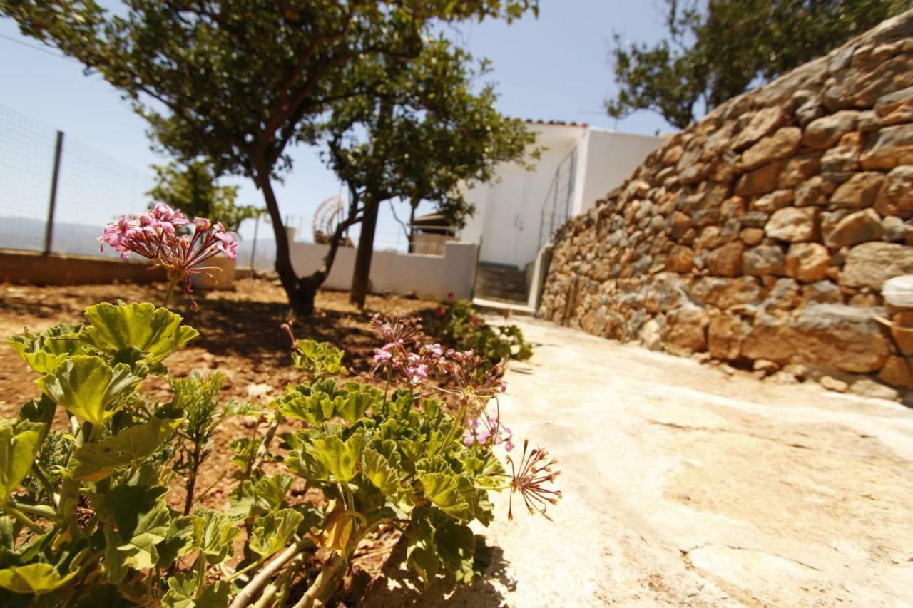 Ágios Nikólaos Villa Veranda מראה חיצוני תמונה